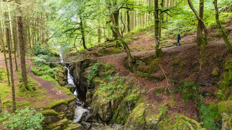 Woodlands Appeal National Trust Woodlands Appeal National Trust
